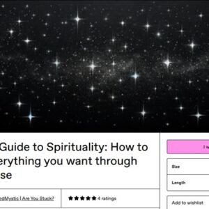 the-bros-guide-to-spirituality-how-to-access-everything-you-want-through-the-universe